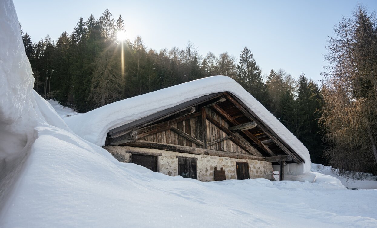 Itinerario Ciaspole Al Malghetto di Almazzago | © Archivio APT Val di Sole - Ph Elisa Fedrizzi