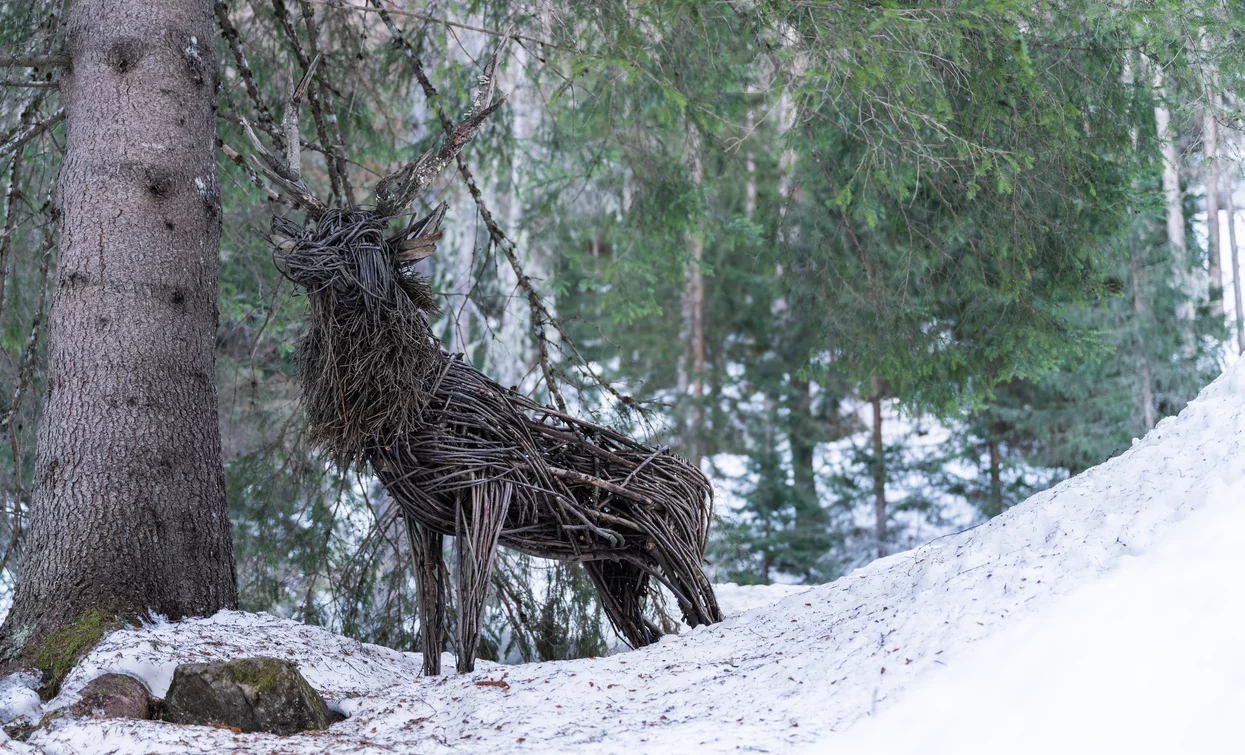 Masi di Valorz  | © Archivio APT Val di Sole - Ph Giacomo Podetti 