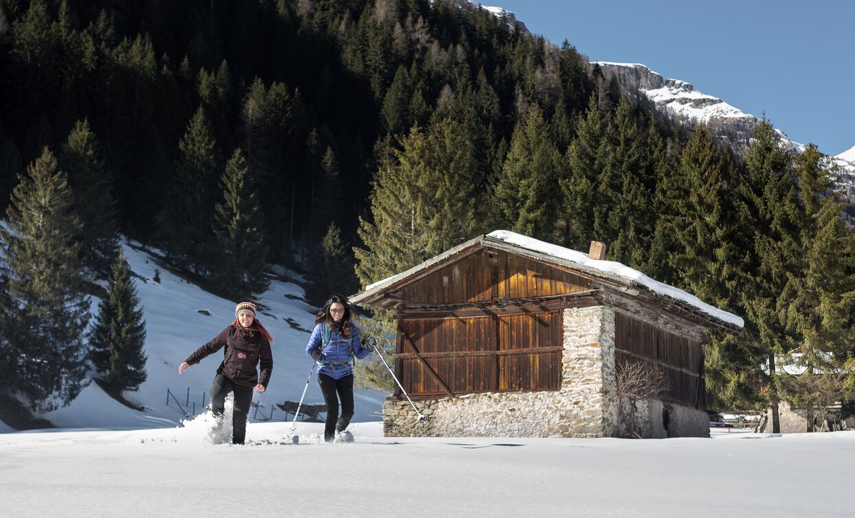 Ciaspole in Val di Rabbi | © Archivio APT Val di Sole - Ph Marco Corriero