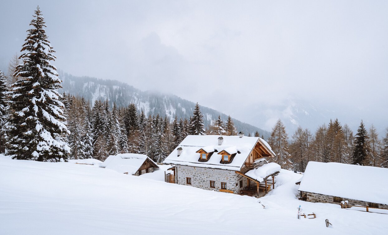 Malga Alta di Fazzon in Val di Sole | © Archivio APT Val di Sole - Ph Nicola Cagol