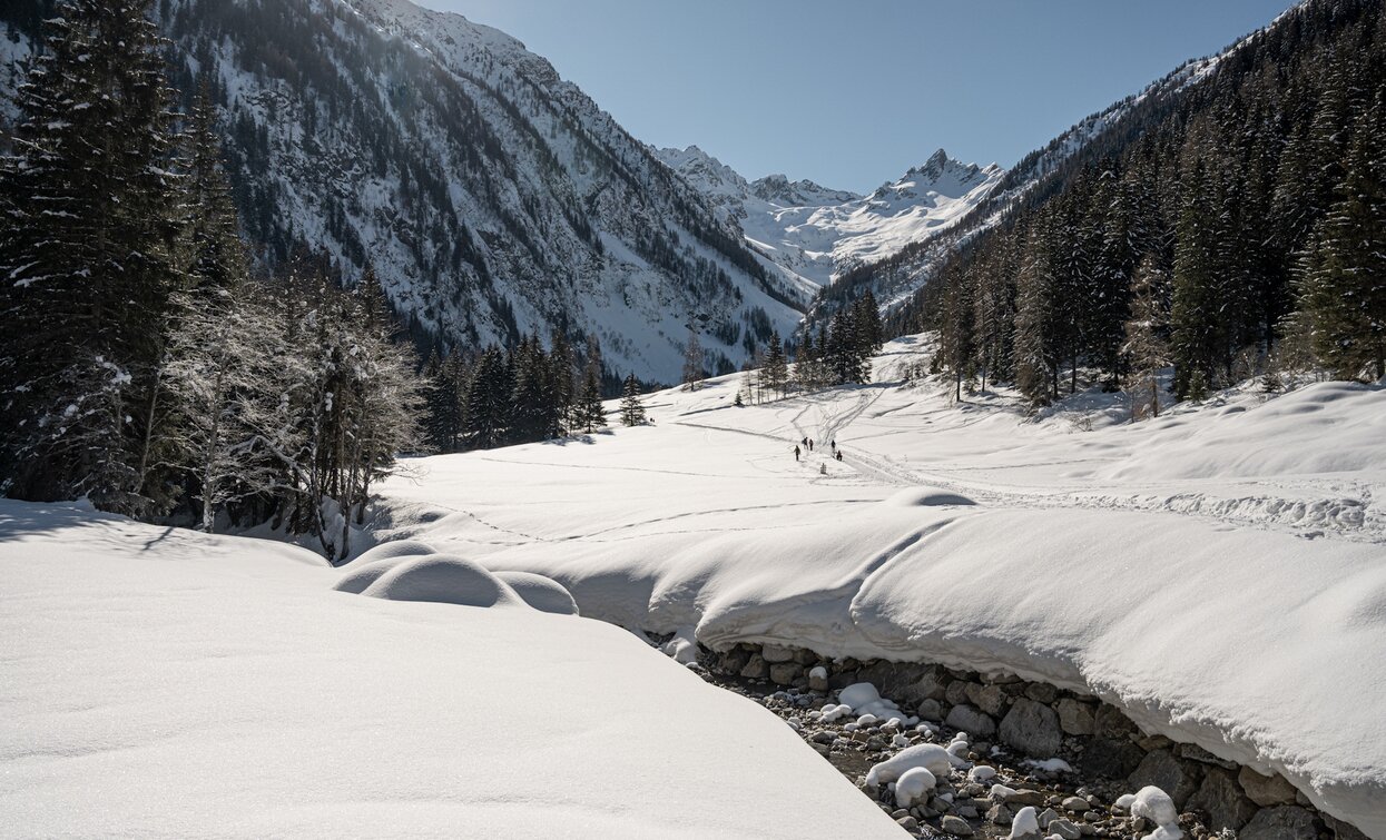 Itinerario con le racchette da neve in Valpiana | © Archivio APT Val di Sole - Ph Elisa Fedrizzi