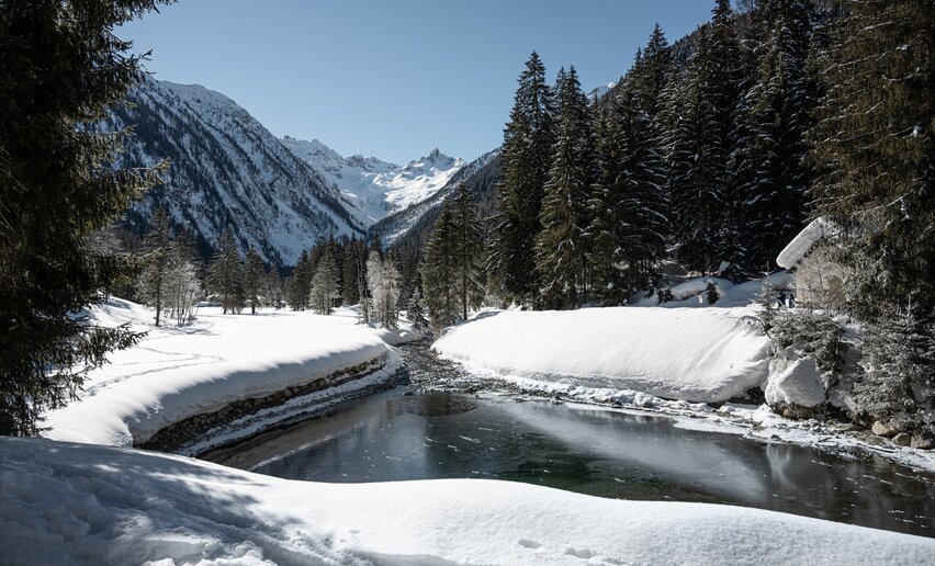 Itinerario con le ciaspole in Valpiana | © Archivio APT Val di Sole - Ph Elisa Fedrizzi