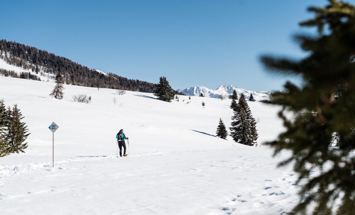 Itinerario ciaspole Giro dell'altiporto a Passo Tonale | © Archivio APT Val di Sole - Ph Giacomo Podetti