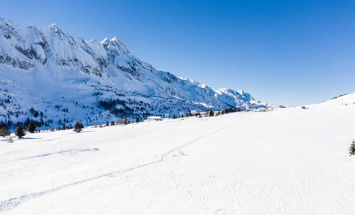 Itinerario ciaspole Giro dell'altiporto a Passo Tonale | © Archivio APT Val di Sole - Ph Giacomo Podetti