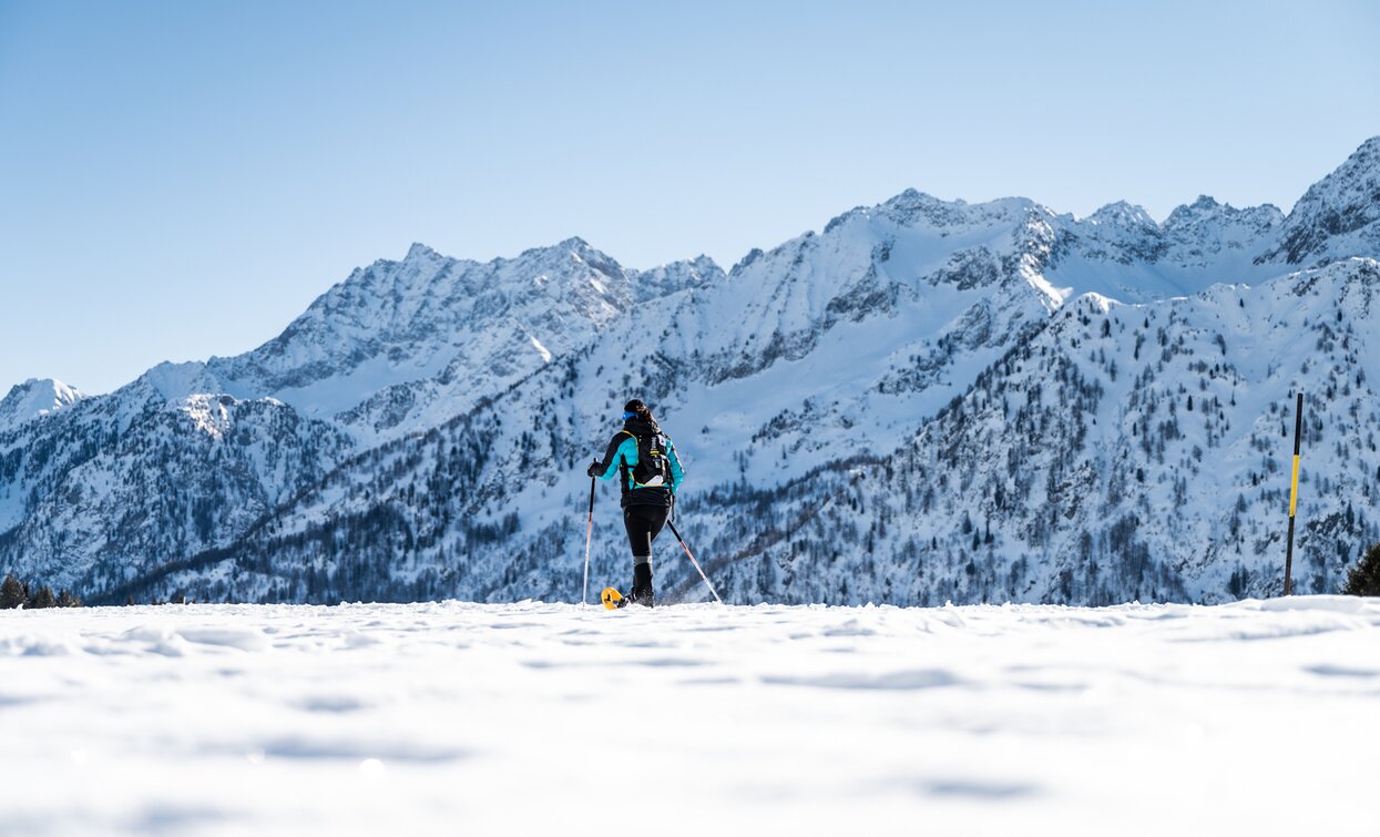 Itinerario ciaspole Giro dell'altiporto a Passo Tonale | © Archivio APT Val di Sole - Ph Giacomo Podetti