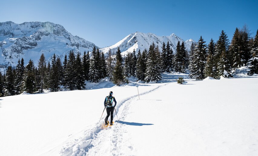 Itinerario ciaspole Giro dell'altiporto a Passo Tonale | © Archivio APT Val di Sole - Ph Giacomo Podetti