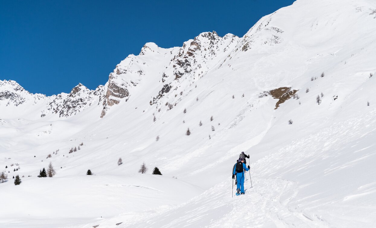 Itinerario ciaspole Farinel a Passo Tonale | © Archivio APT Val di Sole - Ph Giacomo Podetti