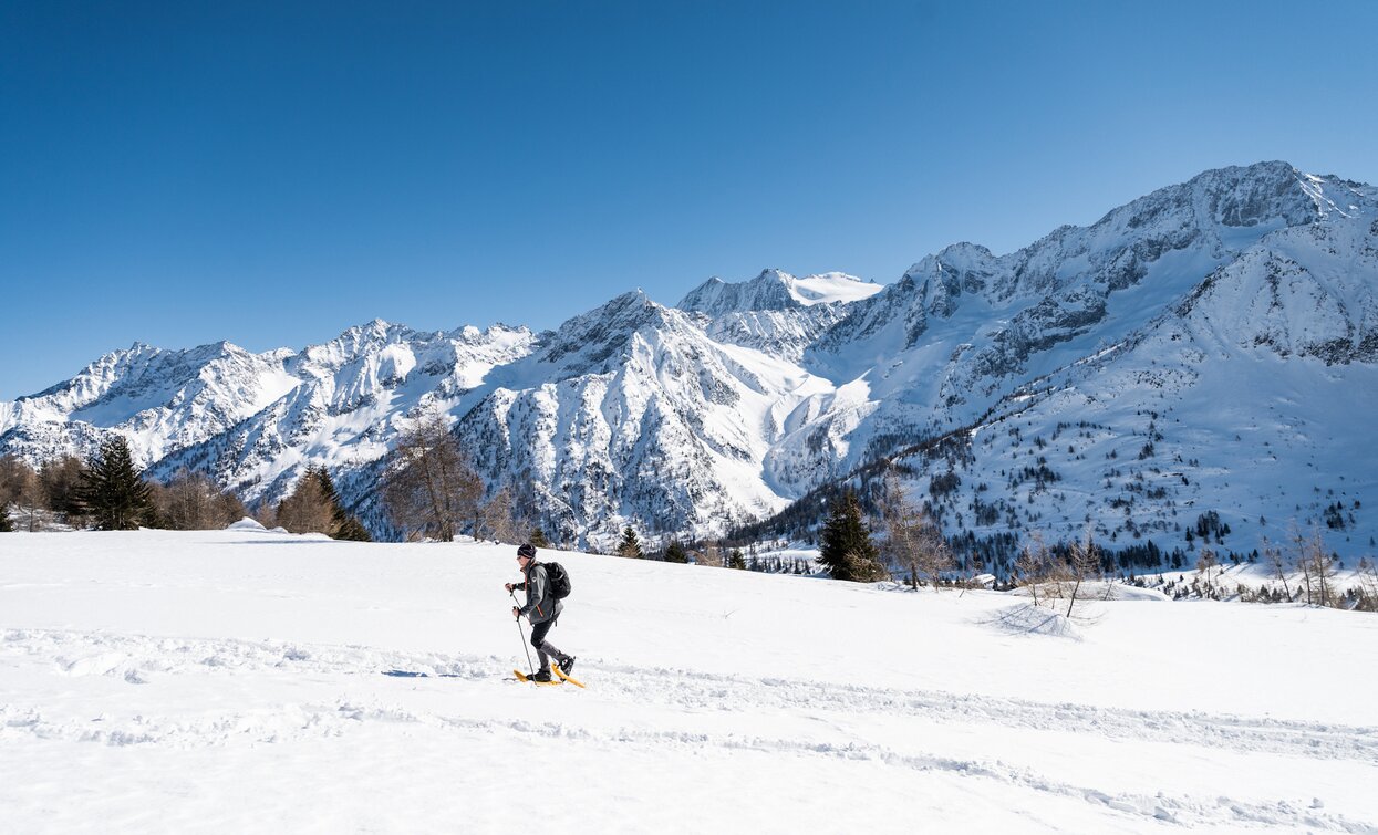 Itinerario ciaspole Farinel a Passo Tonale | © Archivio APT Val di Sole - Ph Giacomo Podetti