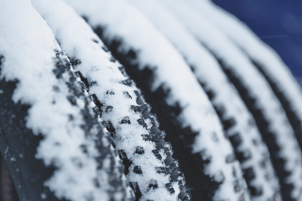 Fat bike, le ruote grasse per la neve | © Archivio APT Val di Sole - Ph Caspar Diederick 