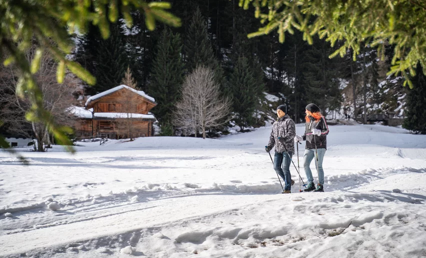 Passeggiata sulla neve in Val di Rabbi | © Archivio APT Val di Sole - Ph Tommaso Prugnola