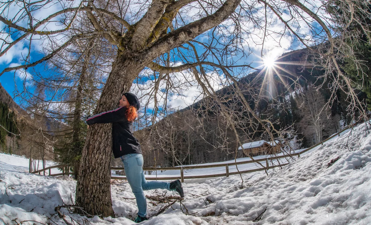 Passeggiata sulla neve in Val di Rabbi | © Archivio APT Val di Sole - Ph Tommaso Prugnola