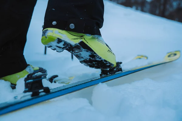 Skialp | © Archivio APT Val di Sole - Ph Alice Russolo 