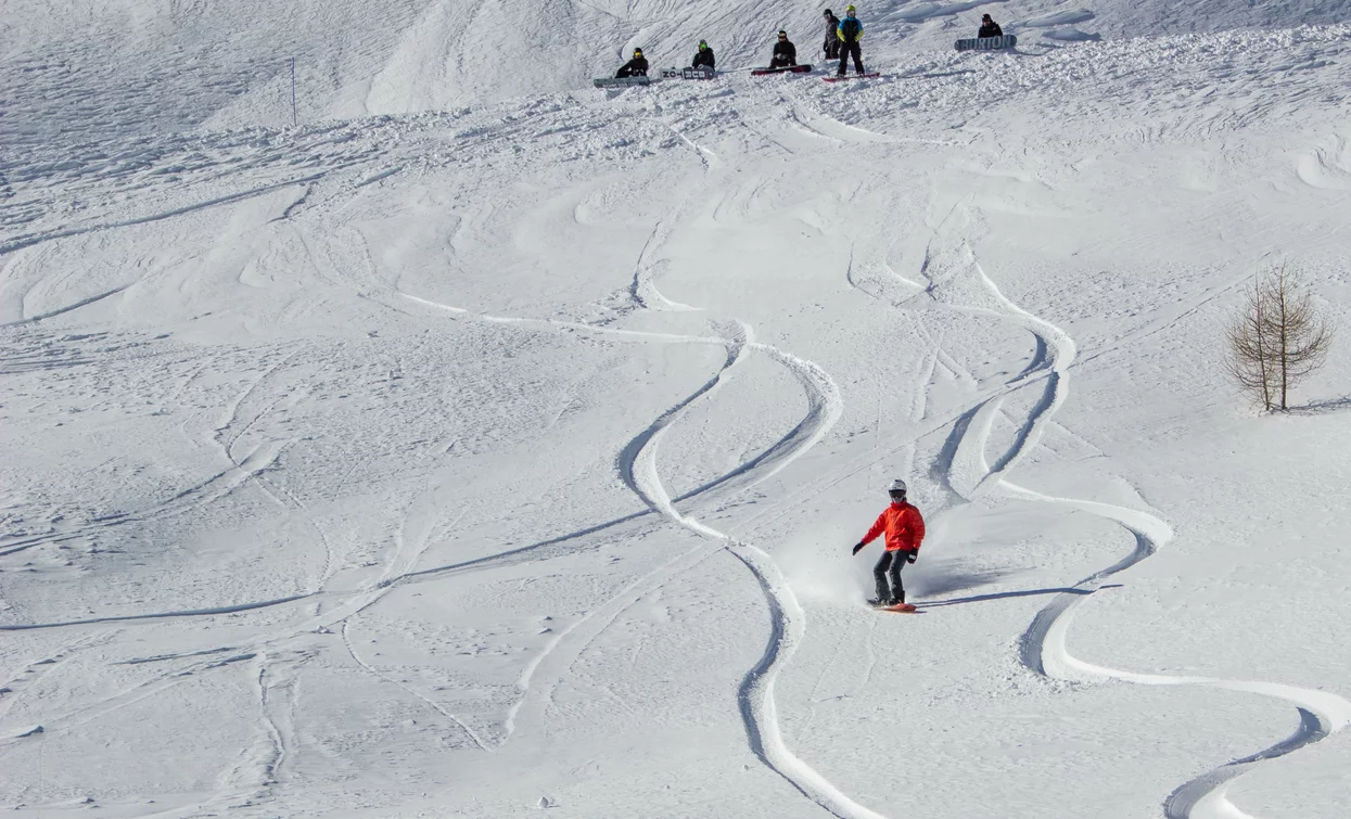 freeride | © Archivio noleggio 6punto9
