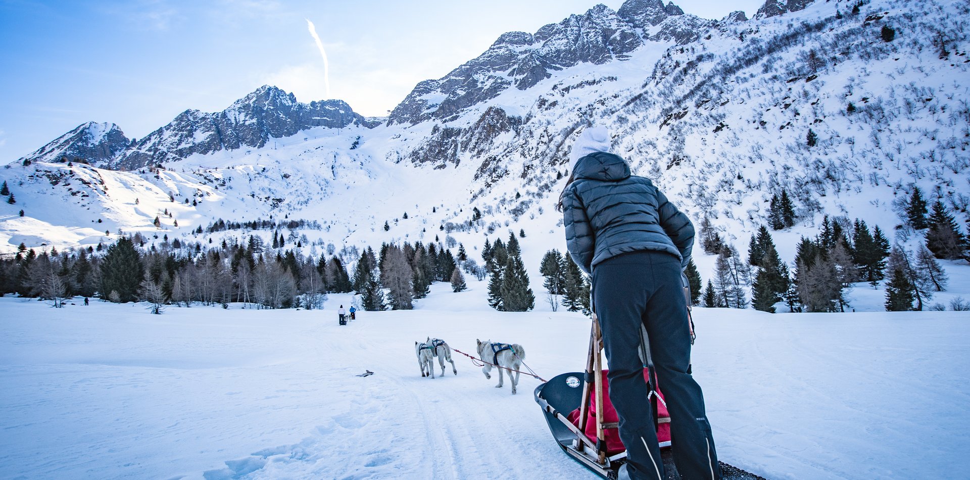 Sleddog a Passo Tonale | © Archivio APT Val di Sole - Ph Tommaso Prugnola