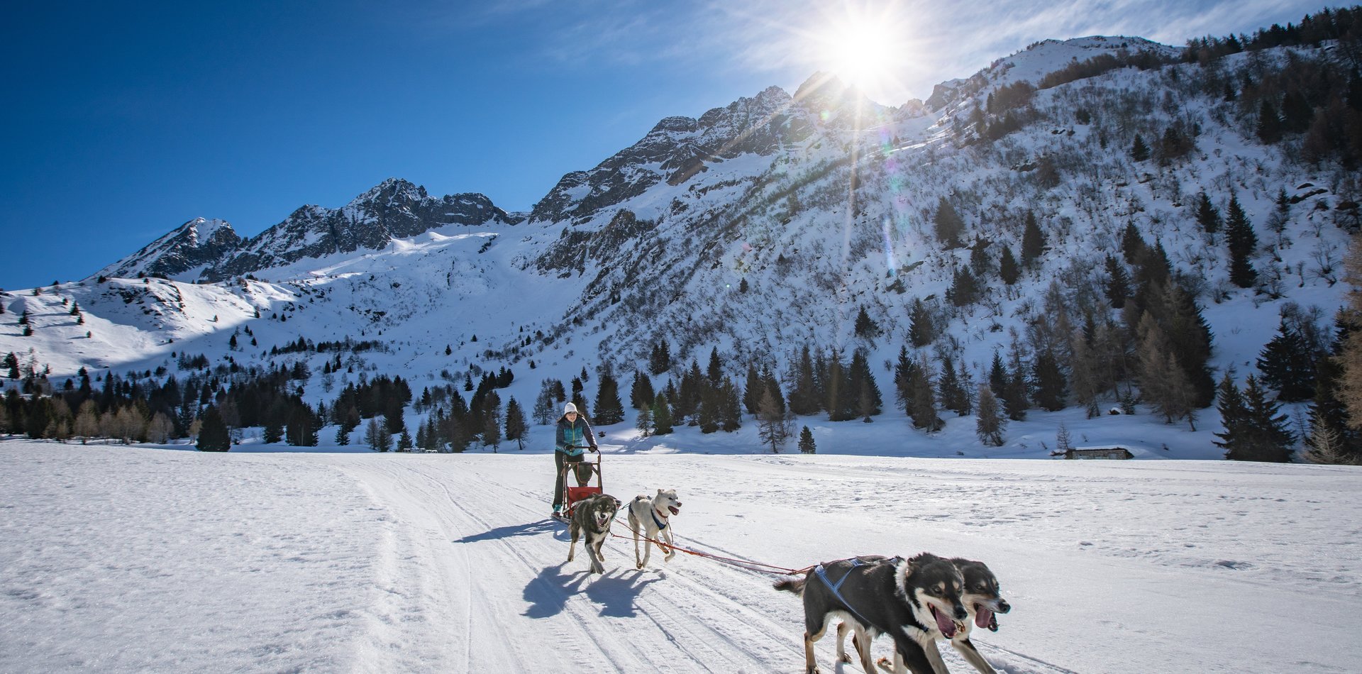 Sleddog in Val di Sole | © Archivio APT Val di Sole - Ph Tommaso Prugnola