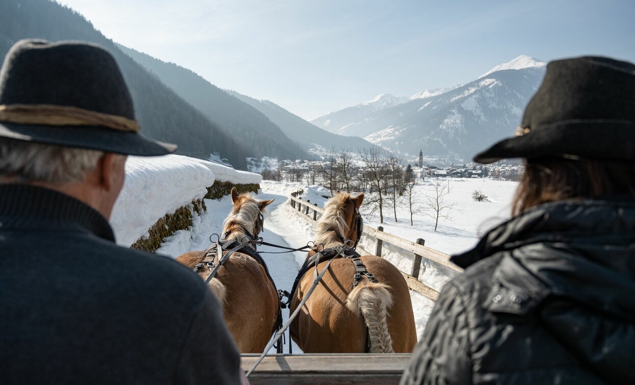 Slitta trainata dai cavalli - Agritur Bontempelli | © Archivio APT Val di Sole - Ph Elisa Fedrizzi