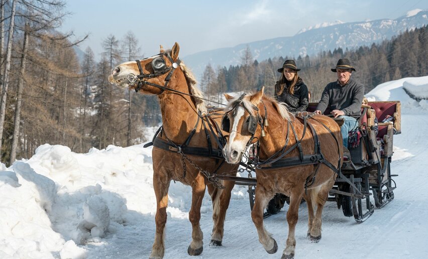 Slitta trainata dai cavalli - Agritur Bontempelli  | © Archivio APT Val di Sole - Ph Elisa Fedrizzi 