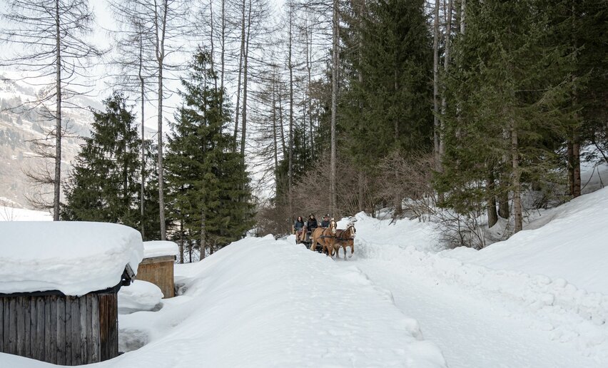 Slitta trainata dai cavalli - Agritur Bontempelli | © Archivio APT Val di Sole - Ph Elisa Fedrizzi 