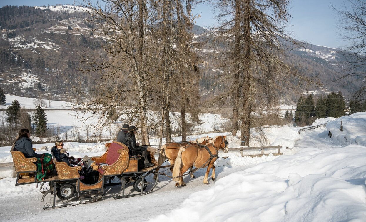 Slitta trainata dai cavalli - Agritur Bontempelli  | © Archivio APT Val di Sole - Ph Elisa Fedrizzi 