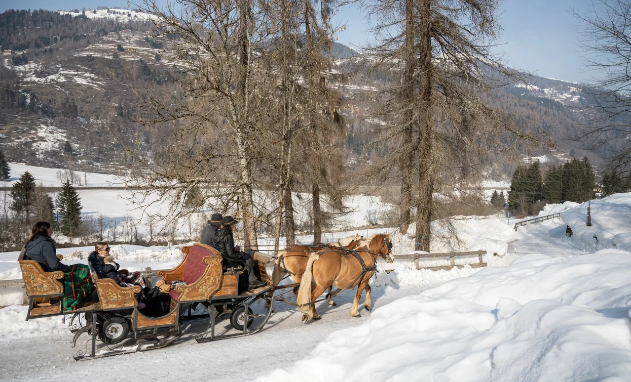 Slitta trainata dai cavalli - Agritur Bontempelli  | © Archivio APT Val di Sole - Ph Elisa Fedrizzi 
